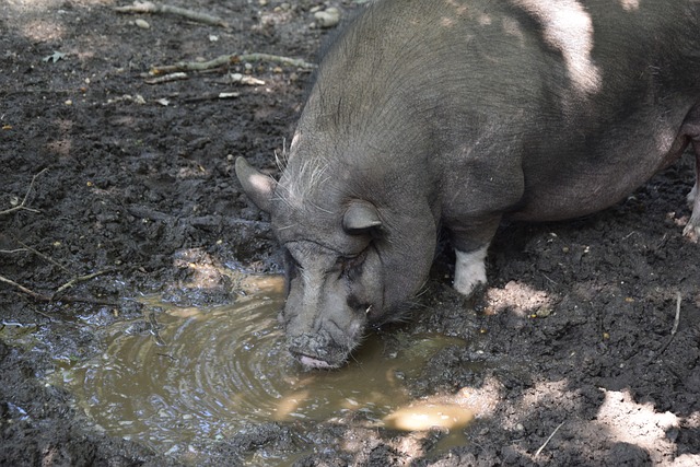 及其在积极 及其在积极