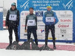 塞尔维亚的 塞尔维亚的