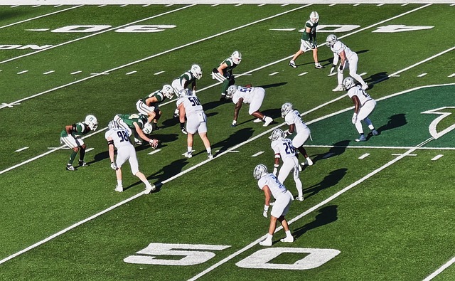 塞尔维亚下 塞尔维亚下