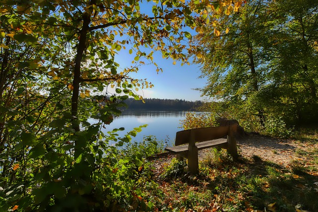 在本文中 在本文中