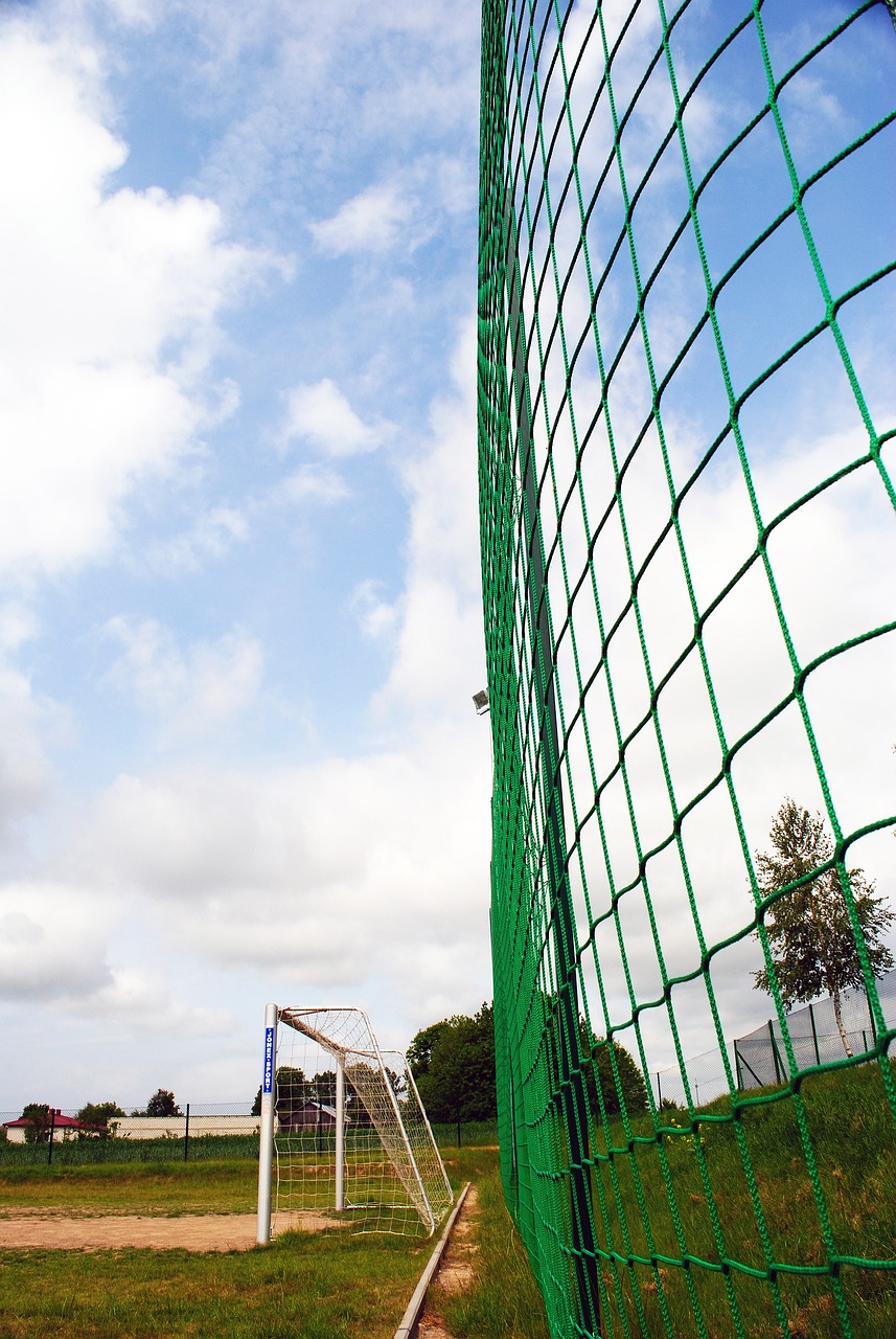 待与挑战 待与挑战