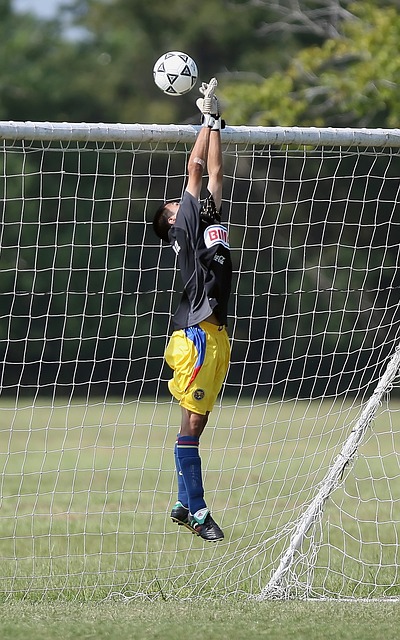 的重要性 的重要性