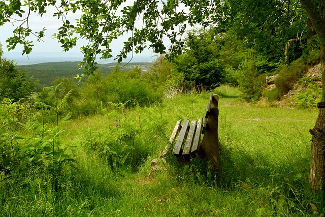 表现赢得了 表现赢得了