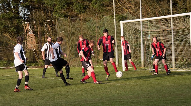 特点及其组 特点及其组