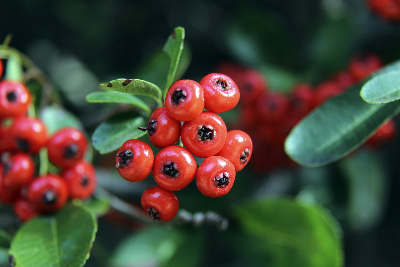 人兴趣的合 人兴趣的合