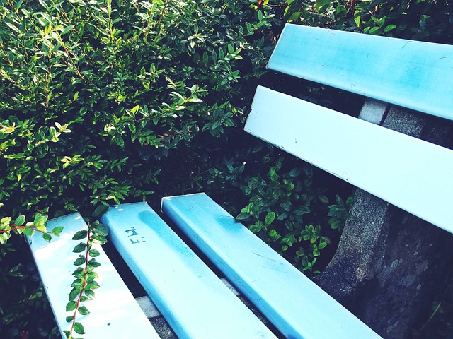 许多球队在 许多球队在