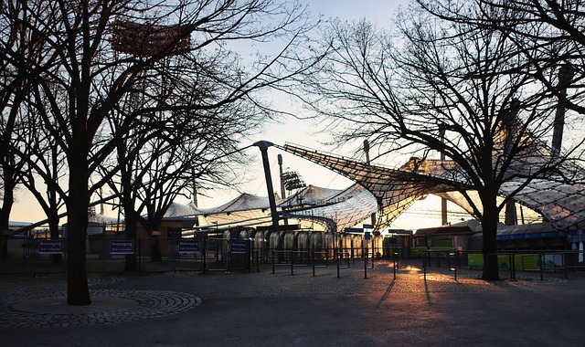 突出了篮球 突出了篮球